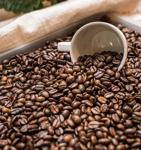 Wholesale Coffee Suppliers Sevenoaks