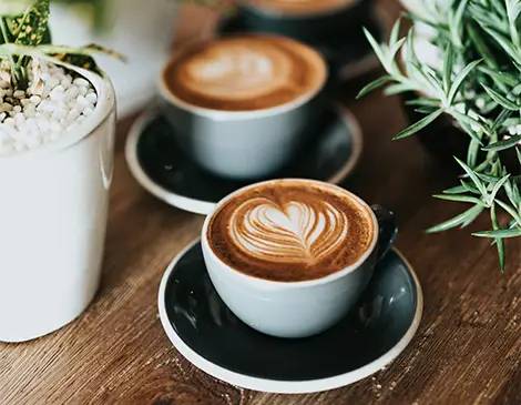 Wholesale Coffee Suppliers in Swale