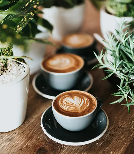 Camberley Coffee Machine Servicing