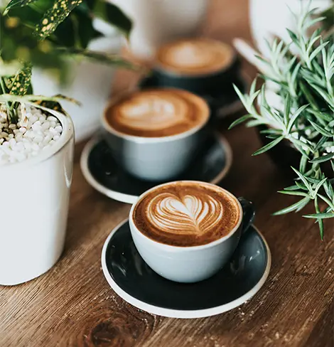 Wholesale Coffee Suppliers in Weybridge