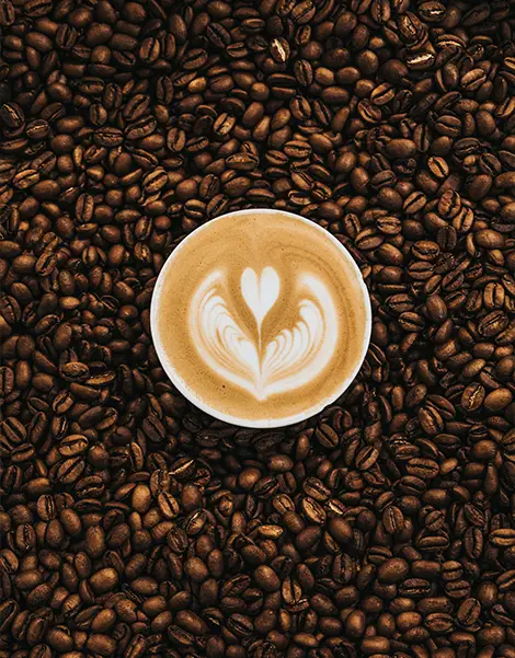 Coffee Roasters Kent