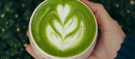 Matcha Supplier Uk