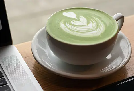 Uk Matcha Suppliers