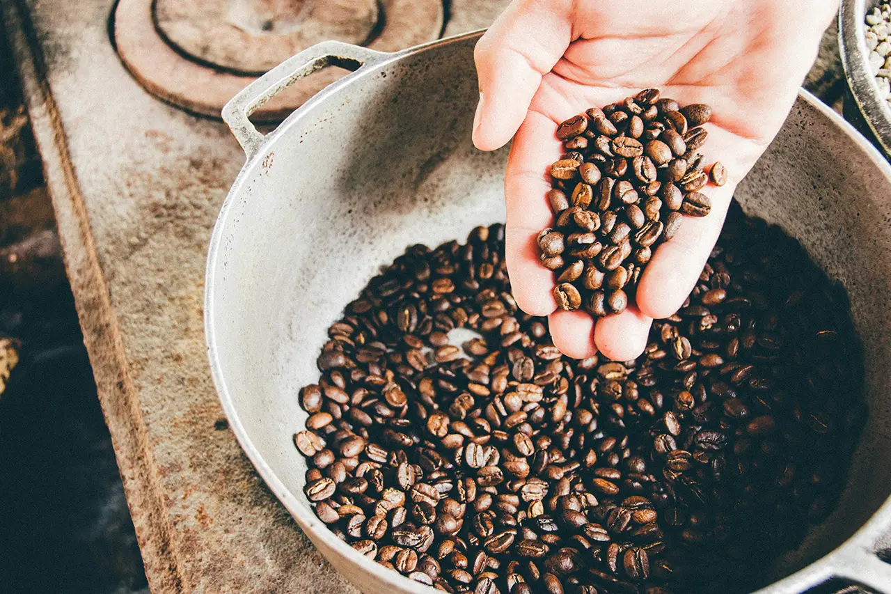 How We Source Ingredients for Our Drinks Range