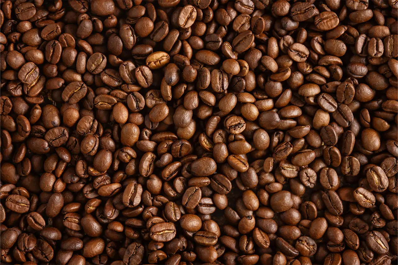 How to Choose the Right Coffee Beans for Your Business